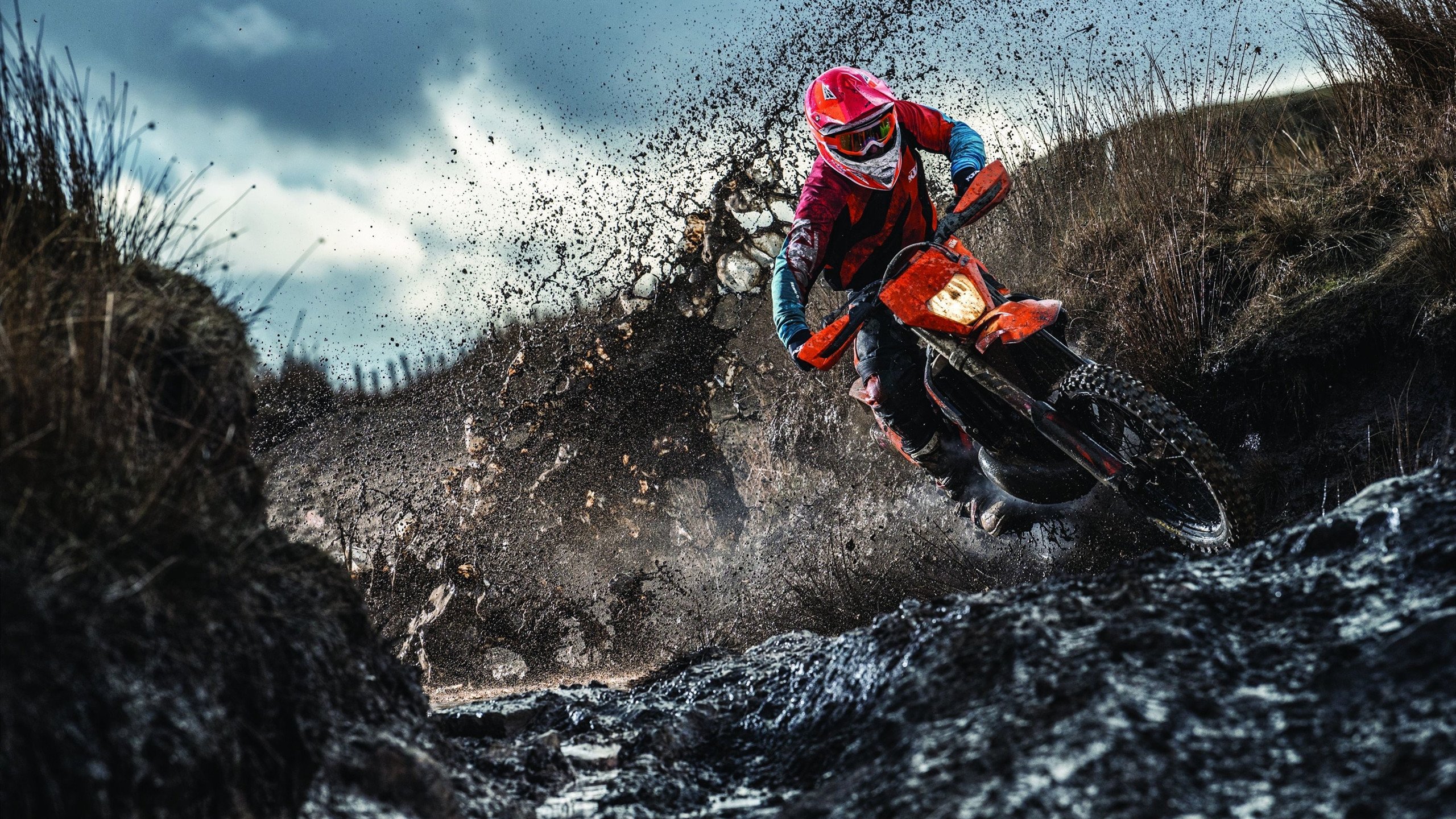 浙江队对阵尼克斯,霍勒迪关键回合不手软,诠释篮球大心脏